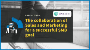 Sales and Marketing for a successful SMB goal - AhaApps